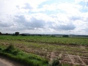 The fields bordering our grounds