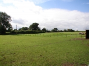 Our paddocks - bring your horse!