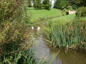 The stream running through the garden